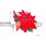 Poinsettia and Profile of Woman
