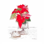 Poinsettia Cup and Shell