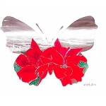 Poinsettia and Butterfly