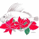 Poinsettia and S.Peter Fish